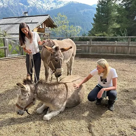 Readynow Alpin Resonanz Camp Fuer Mentale Klarheit * Pill
