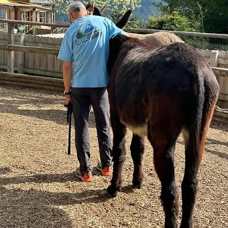 Casa de Férias Readynow Alpin Resonanz Camp Fuer Mentale Klarheit Pill