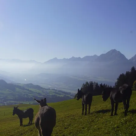 Readynow Alpin Resonanz Camp Fuer Mentale Klarheit Casa de Férias *