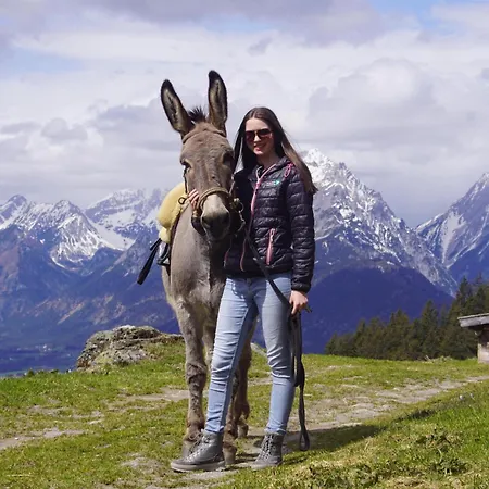 Readynow Alpin Resonanz Camp Fuer Mentale Klarheit *
