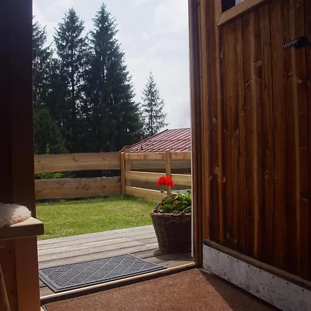 Readynow Alpin Resonanz Camp Fuer Mentale Klarheit * Pill
